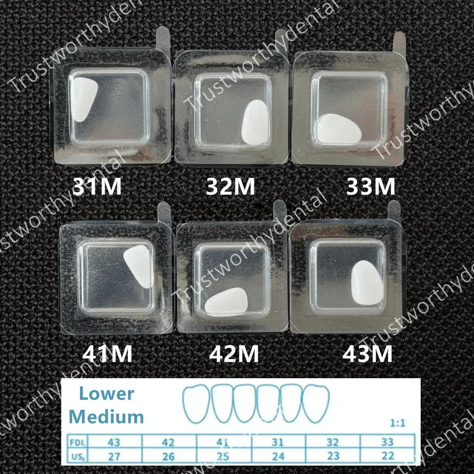 Lower-M x1Set