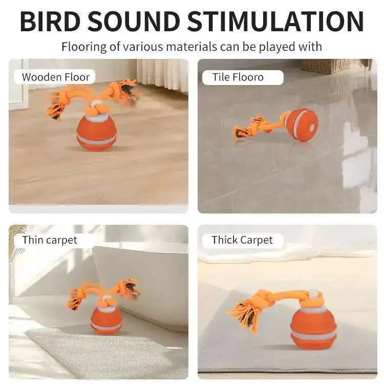 Interactive Motion Dog Toy 5