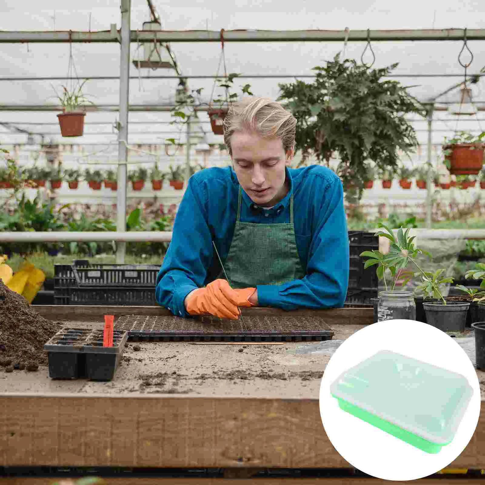

Sprouter Trays With Lid Sprouting Free Healthy Wheatgrass Grower Storage Trays For Garden Home