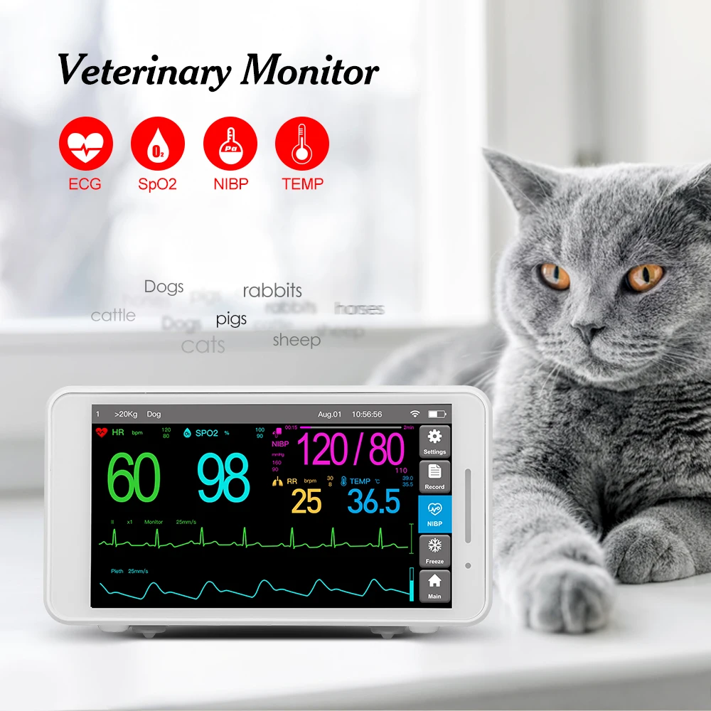 Portable Veterinary Multiparameter Monitor Pet ECG Recorder Monitor Multi-parameter Animals Patient Animal Hospital