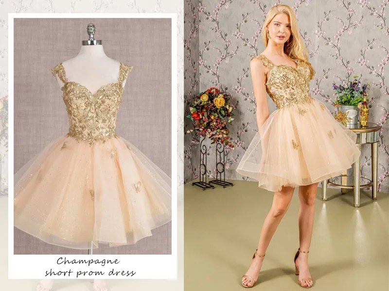 Champagnerfarbenes, kurzes Dama-Kleid