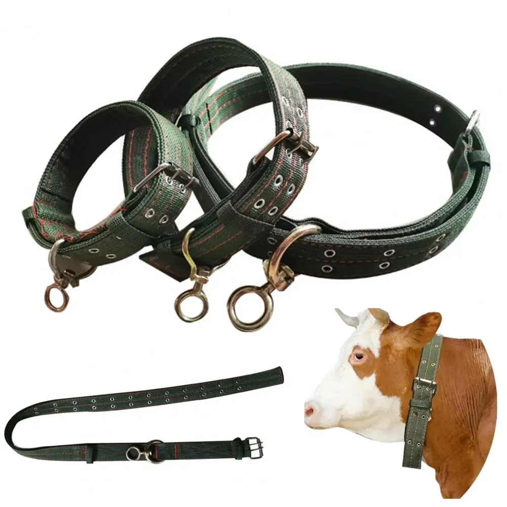 

Cattle Collar Adjustable Buckle Thickened Widened Nylon Belt Sheep Ropes Large Dogs Bulldog Collar Livestock Supplies