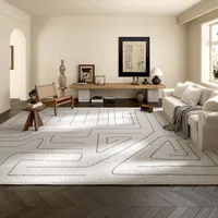 Light Luxury Style Living Room Decoration Carpet Thick Plush Lounge Floor Mat Fluffy Soft Study Rug Large Area Rugs for Bedroom 2