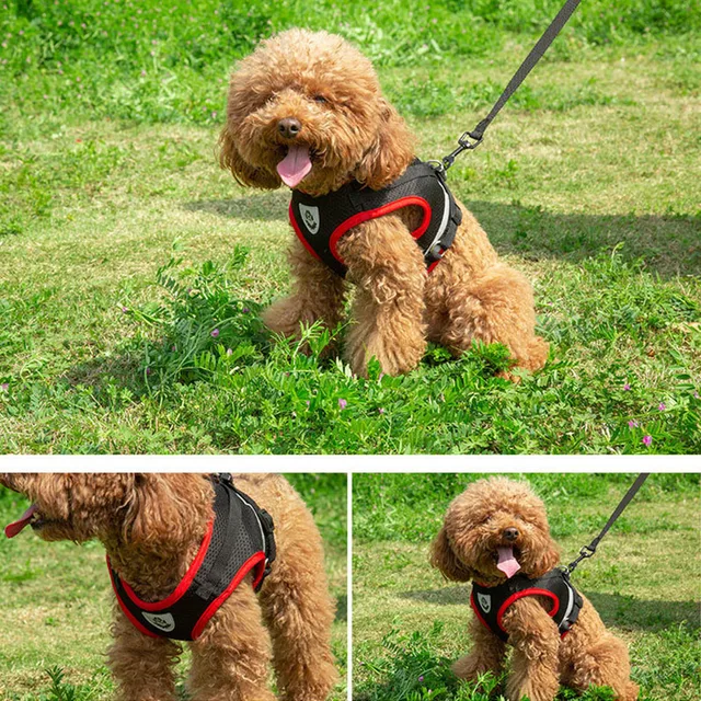 Dog Harness Vest Set Puppy Cat Reflective Chest Strap for Small Medium Dog Harness Leash Chihuahua Yorkies Walking Lead Leash 5
