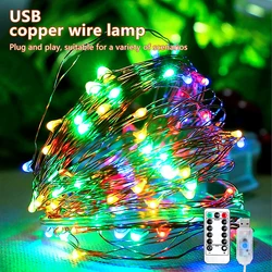 Enchanting USB-Powered LED Fairy Lights - Copper Silver Garland - 5M (Multicolor)
