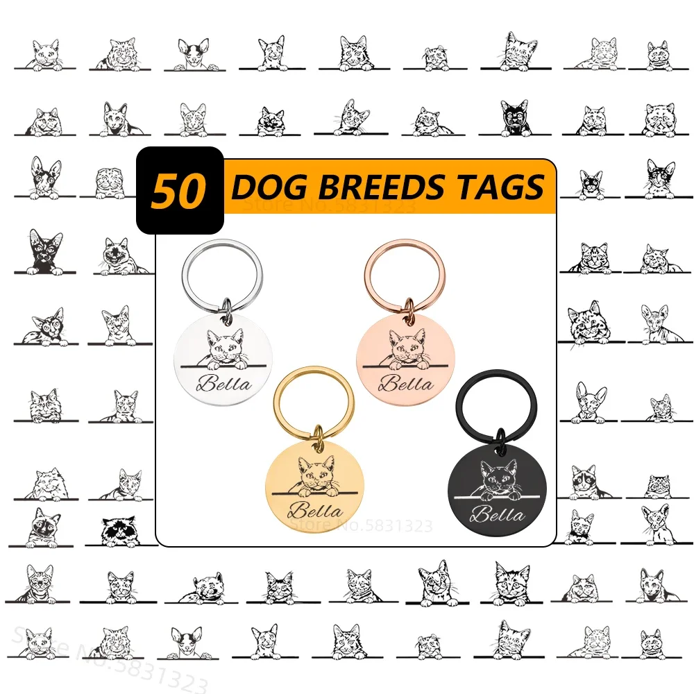 

Идентификационная бирка для кошек, персонализированный ошейник из нержавеющей стали для 50 пород кошек, аксессуары для домашних животных