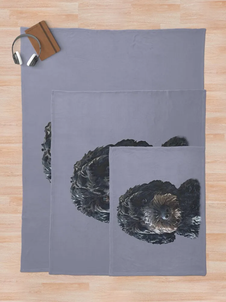 ���� ��īǪ/���� �� ������ ���, ǫ���ϰ� �ε巯�� ���� ���