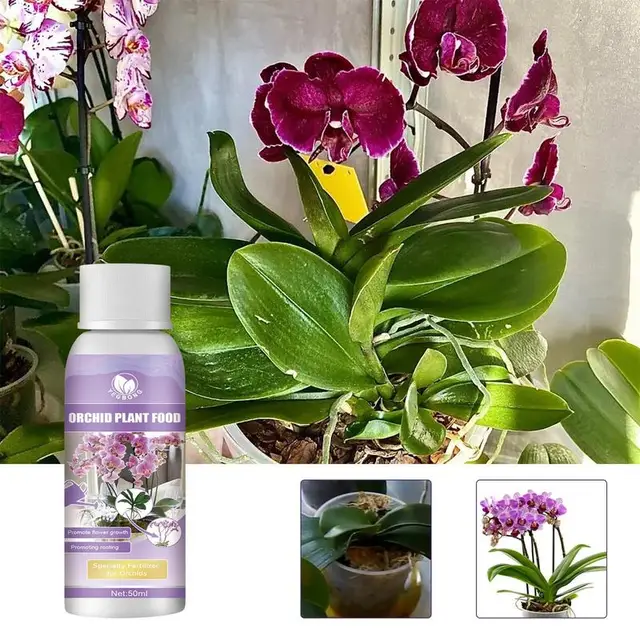 50 Ml -Es Orchideák Koncentrált Tápanyag -Oldat Gyors Gyökérzet Virágzatok Műtrágya Tápanyagoldat Növény Növekedése Fokozó Kiegészítő - Image 2
