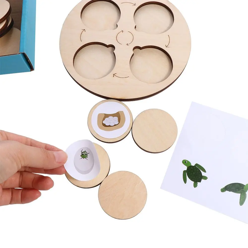 

Girl Science Education Sensory Tray Animal Figure Life Cycle Wooden Toy Growth Cycle Model Life Cycle Board Sorting Wooden Toy