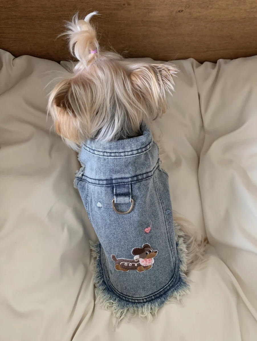 Sleeveless Cowboy Vest for Dogs, Tony Bears Dog Tank Top, Teddy, Schnauzer Bears, Marquis, Love, Spring, Summer, New