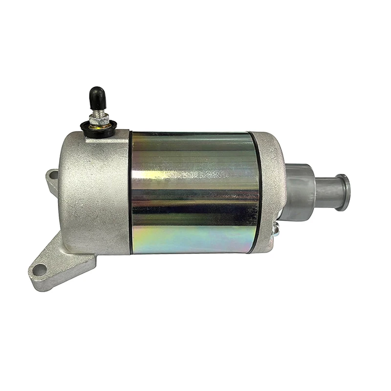 Starter Motor for Yamaha XV400 XV500 XV535 Virago 535 XVS400 XVS650 XVS650A 3JB-81800-00 22U-81800-60 4VR-81800-00 3JB-81800-01