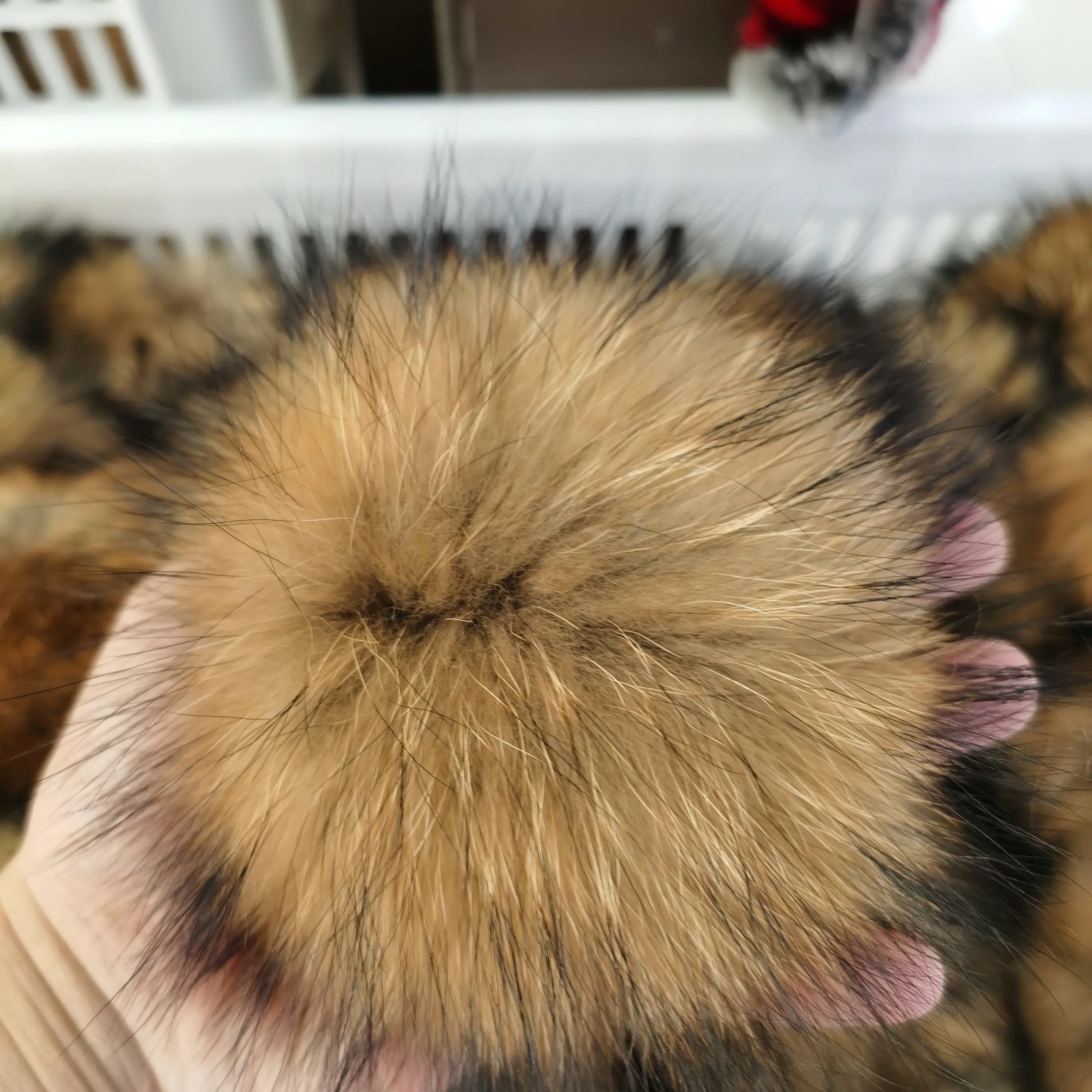 

100% natural DIY Fur Pompon ball For Cap Bag Scarf Accessories fur pompom raccoon fur pom pom for hat beanies Fur Pompom 13-15cm