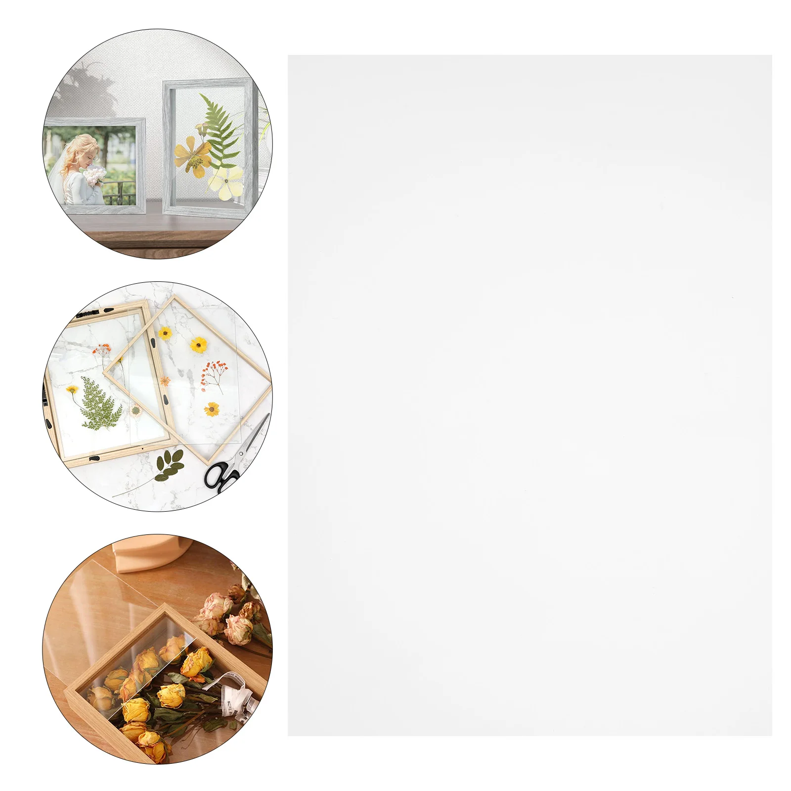 

10 Pcs Photo Frame Transparencies Clear Plastic Panels Crafts Making Supplies Plates Transparent
