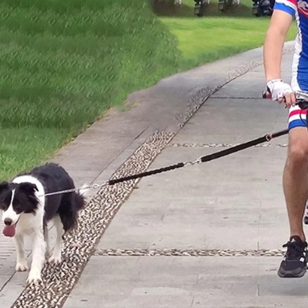 Bike Riding Dog Leash Retractable for Harness Pet Products Carriers Bags Attachment