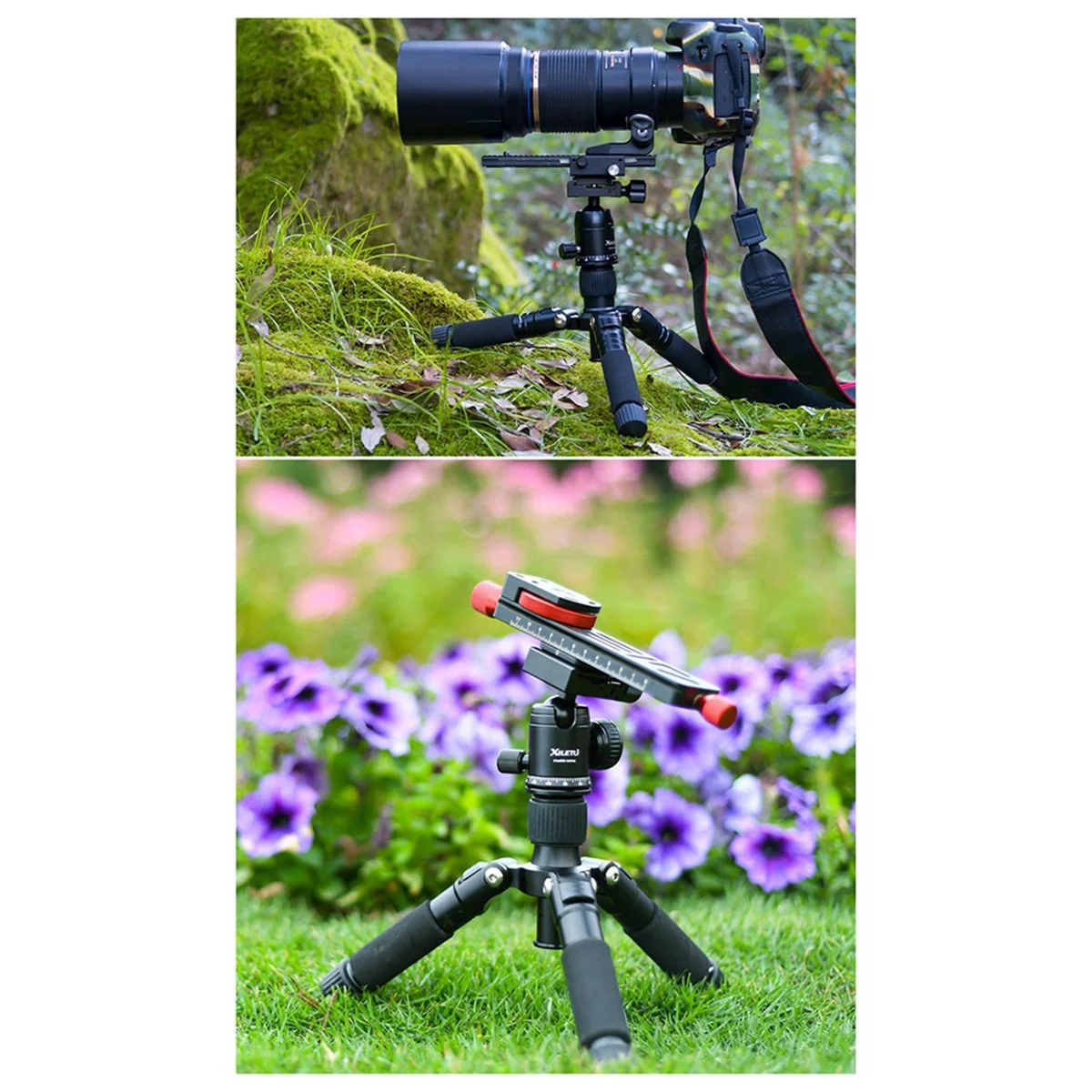 XILETU 미니 데스크탑 삼각대, 휴대용 SLR 카메라 삼각대, 휴대폰 스트레이트 방송 사진 스탠드, 블랙 & 레드