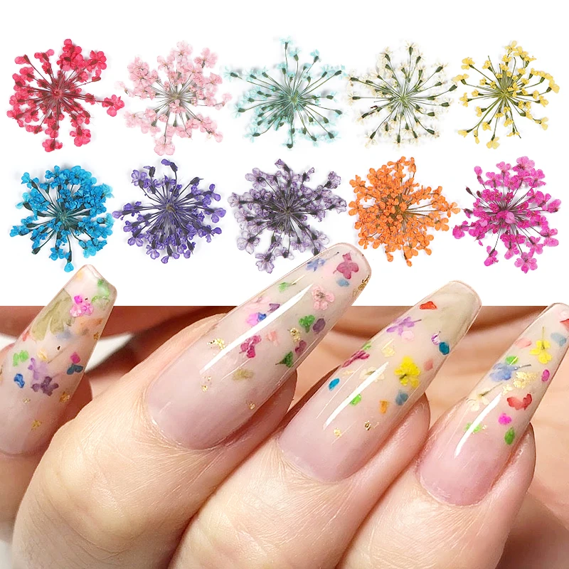 24pcs/box 3d dried flowers nail art