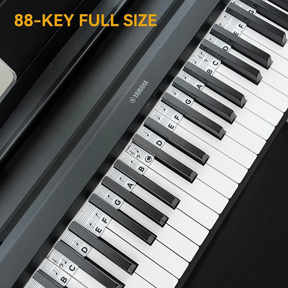 Autocollants de Piano, Autocollants Clavier Piano Pleine Grandeur 88  Touches en Silicone pas Besoin de Coller Étiquettes Colorées Réutilisables  et Amovibles pour Clavier de Piano, avec Boîte : : Instruments de  musique