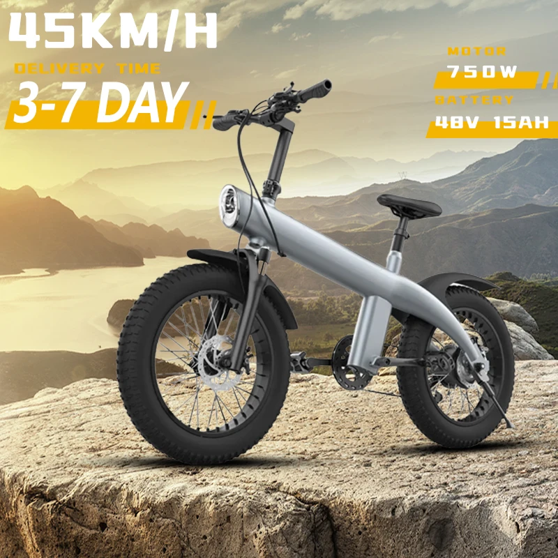 750W Mountain Electric Bicycle 750W 48 V13Ah Batteria Al Litio Durata 100Km Snow Electric Bike 20 Pollici Fat Tire Off-Road E Bike