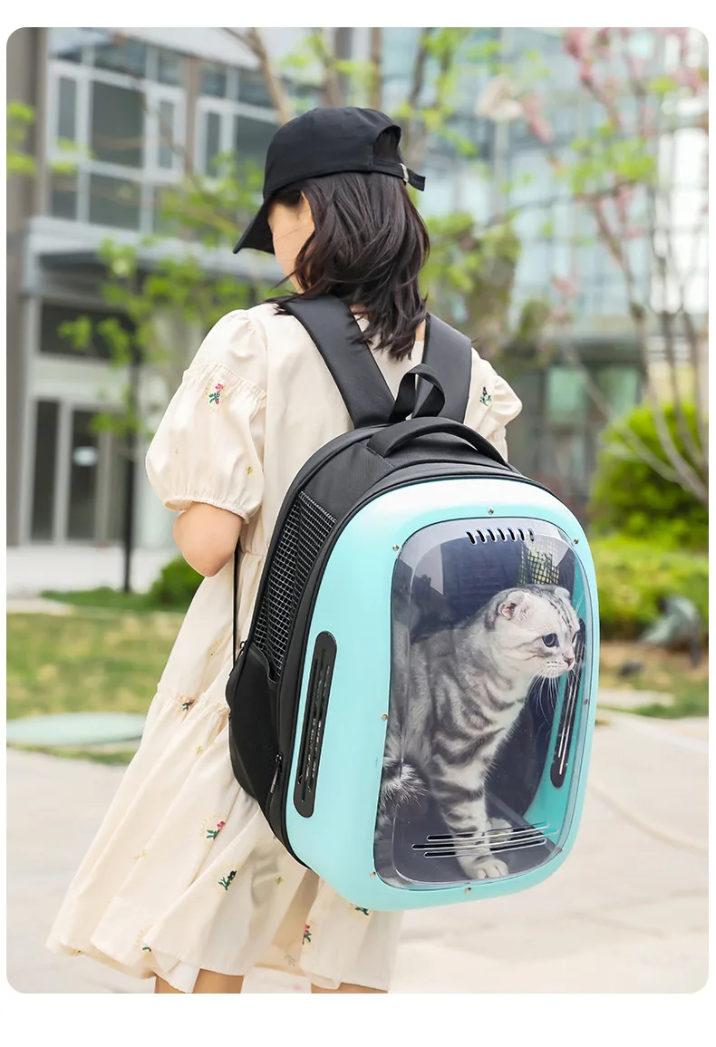 Transparent Transport Carrying Dog Cat Travel Bag