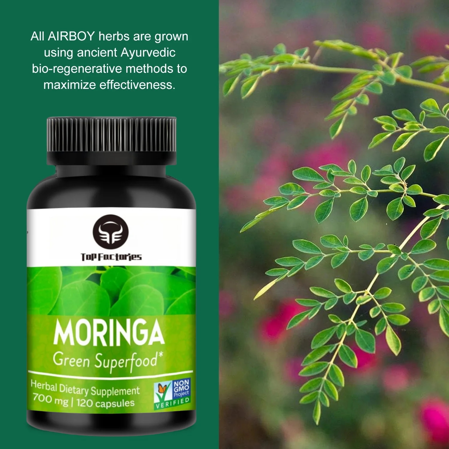Moringa Capsules 700mg Pure Moringa Powder Capsules Organic Capsules Supports Energy Gut