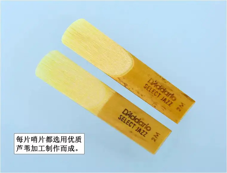 Scd1C3Ab70Ebb4Ca1B2Ca3Fd159E3F28Cq