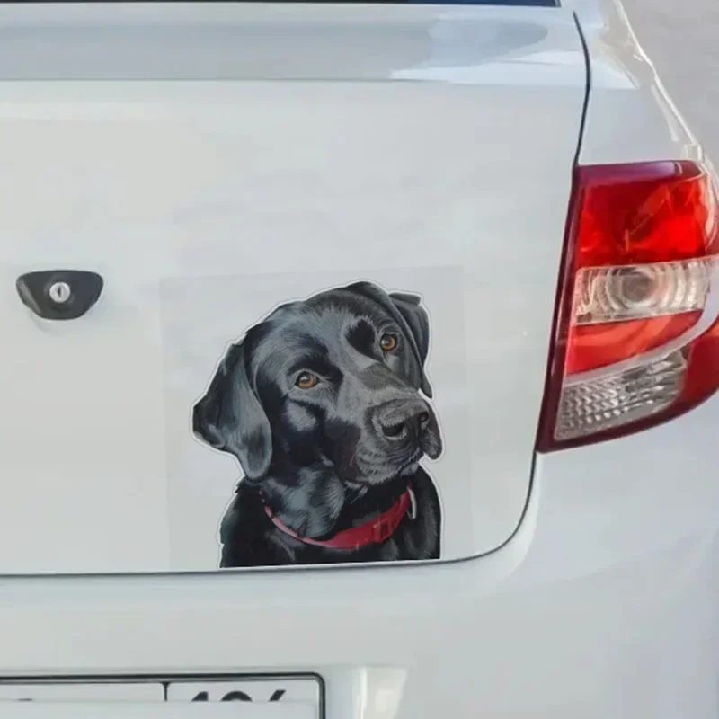 

Car Masking marks Car Sticker Indi The Black Labrador s For Laptop Water Bottle Phone Truck Van SUV Motorcycle Vehicle Paint W