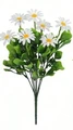 White-1pc