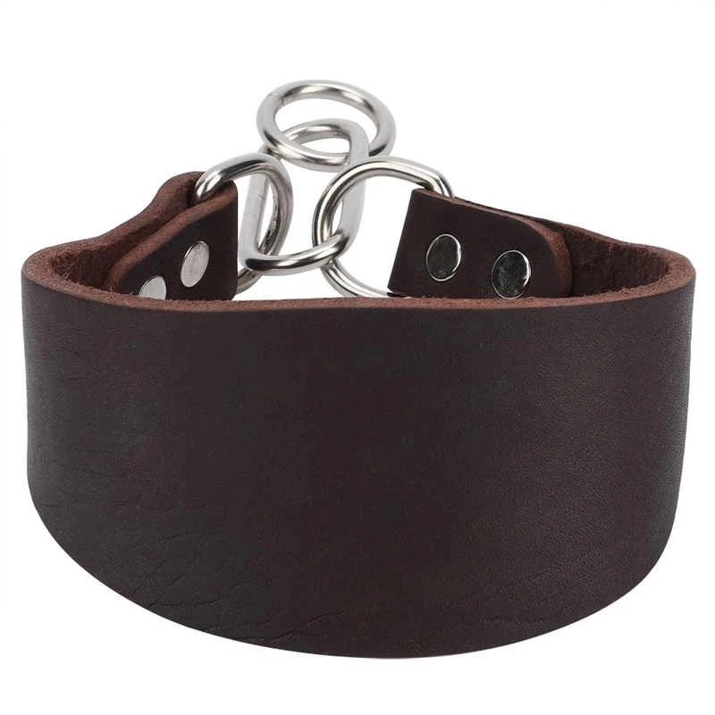 Pet Collar Leather Necklace Durable Portable Widen for Greyhound Whippet