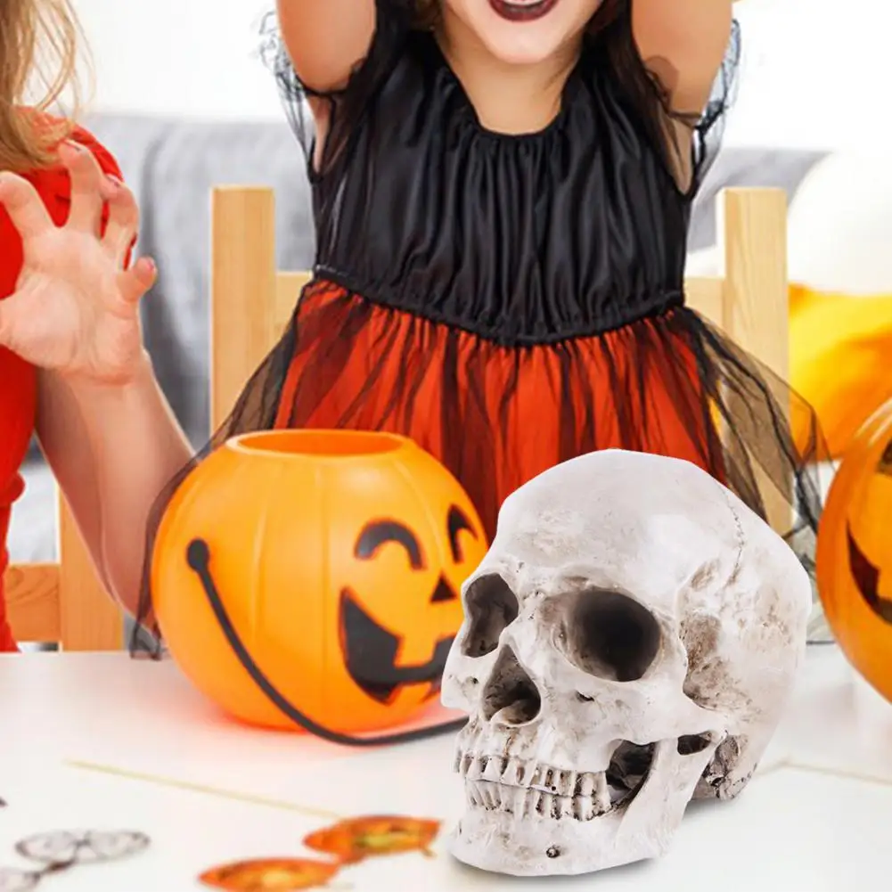 

Life-size Skull Model Skull Model with Removable Parts Educational Skull Models for Halloween Props Masquerade Parties Teaching