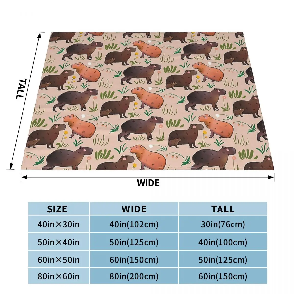 ī�� �ٶ� �ö��� ������ ���, �Ϳ��� ��� ���� ���� Ȩ ���� �ε巯�� ħ�� �̺�