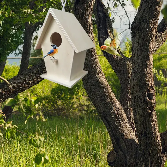High-end Wooden Bird House For Outside To Paint Bird Nesting Box Handmade Birdhouse With Perch Diy Types Wall-mounted Nest 1