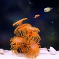 9.5cmx10cm Orange
