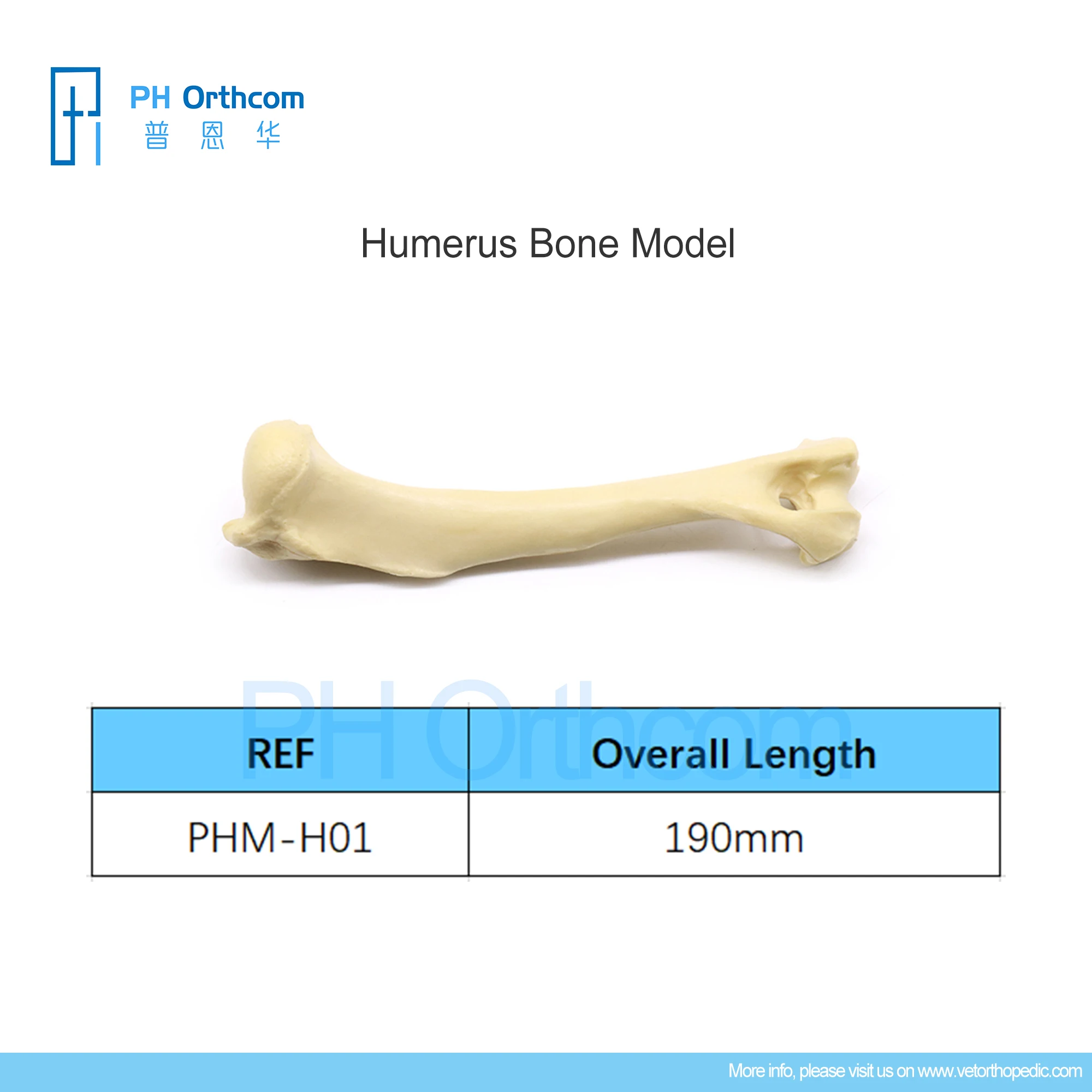 

Ортопедические модели костей Humerus, Обучающие товары и оборудование для домашних животных