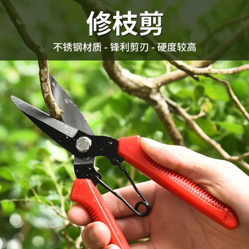 

Садовые ножницы из нержавеющей стали для обрезки фруктов