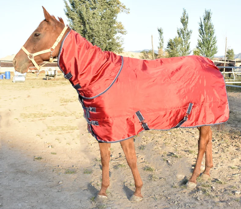 Winter Warm Horse Clothes Horse Outdoor Clothes Windproof Rain and Snow Waterproof Tack Supplies