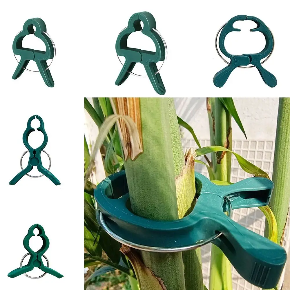 

50 шт., крепежные зажимы для виноградной лозы, огурцов