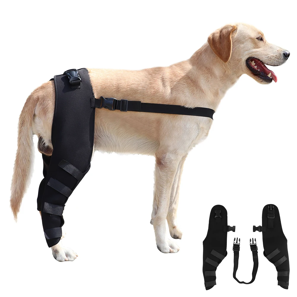 Dog Leg Support Brace