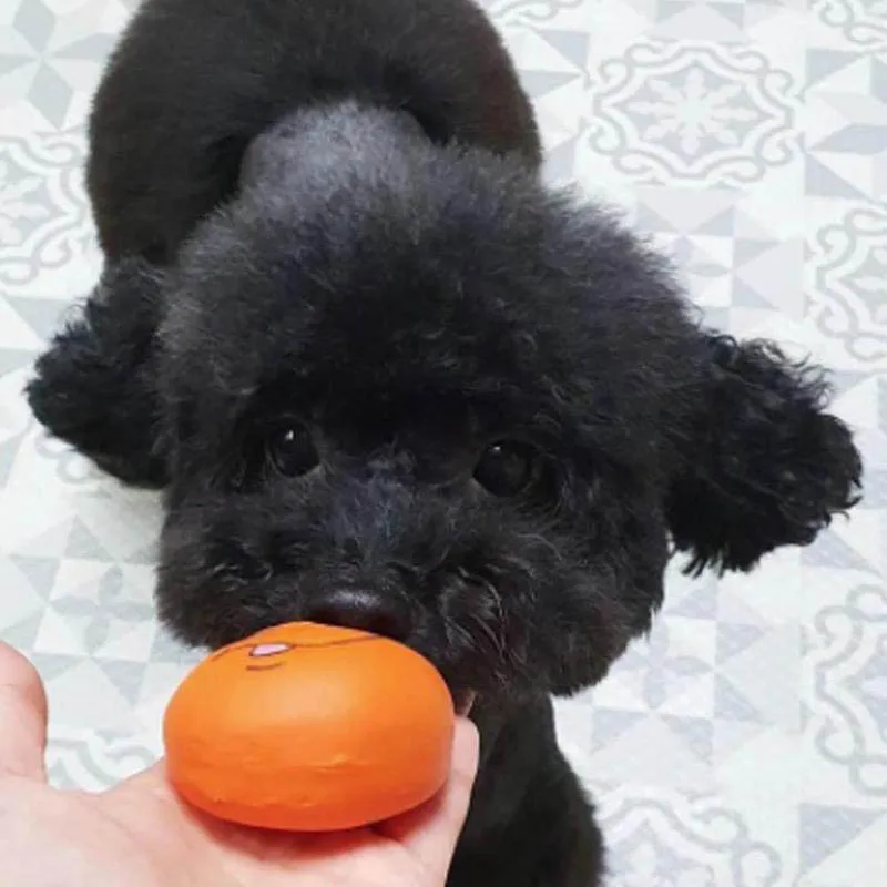 Rubber Dog Puppy Pet Play Squeaky Ball Chewing Toys With Face Fetch Bright Balls Dog Accessories Sounding Toy игрушки для собак dog chewing toys