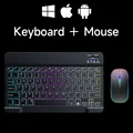 Black and mouse