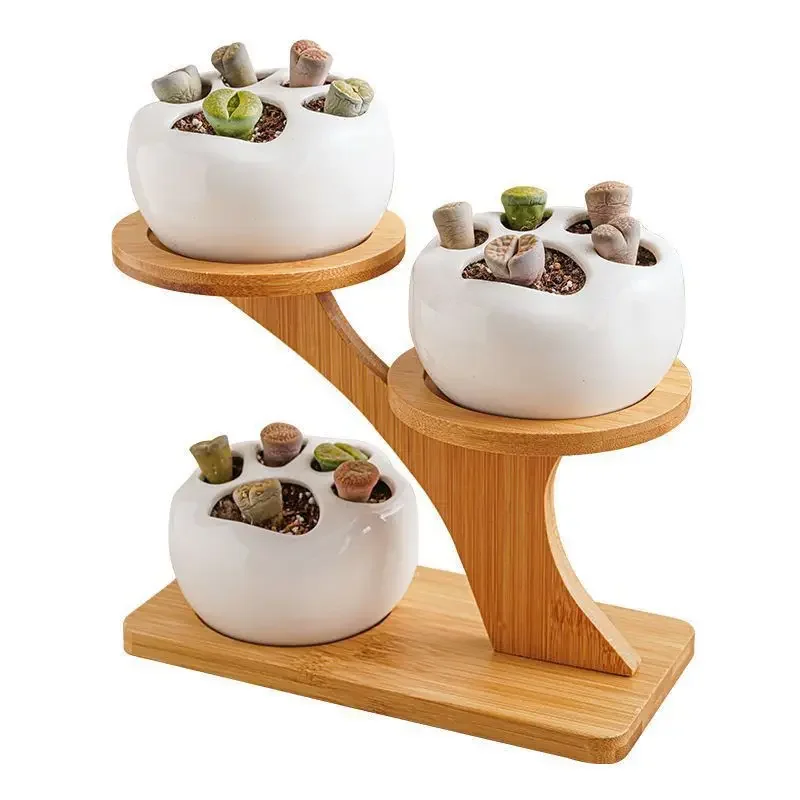 Desktop Creative Flower Rack Succulent Rack Office Living Room Small Flower Display Succulent Small