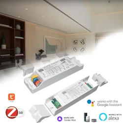 Selectable Current 40W Zigbee LED Driver 600mA 900mA 1000mA Tuya 12W Light Smart Power Supply DIP Switch 130mA 180mA 250mA 280mA