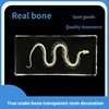1 Pcs Complete Specimen of Snake Skeleton/ Real Bone/Collection/Garden, Water Tank Decoration Gothic Decor 1