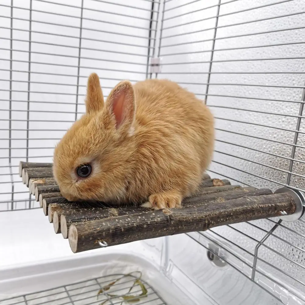 Chinchilla Stand Molar Toys Creative Swing Toy Chinchilla Platform Small Pet Climbing Toy Parrot Stand Exercise Trai