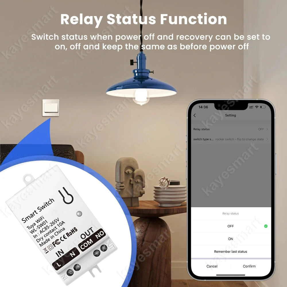 Tuya Smart WiFi Dry Contact Switch Module 10A Home Universal DIY Breaker Relay DC 8-40V AC 85-265V Works with Alexa Google Home