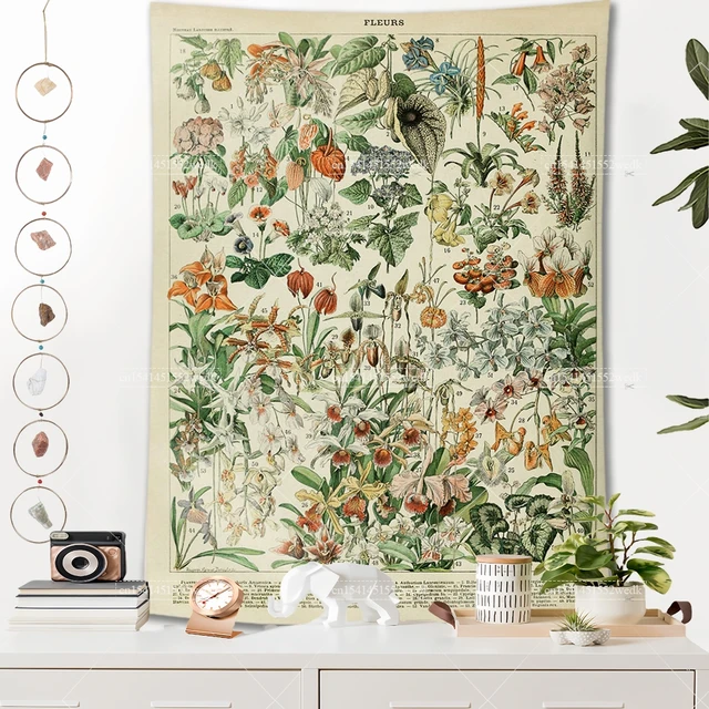 Tapisserie botanique vintage, tableau de référence, illustration d'art mural esthétique, décoration de la maison 4