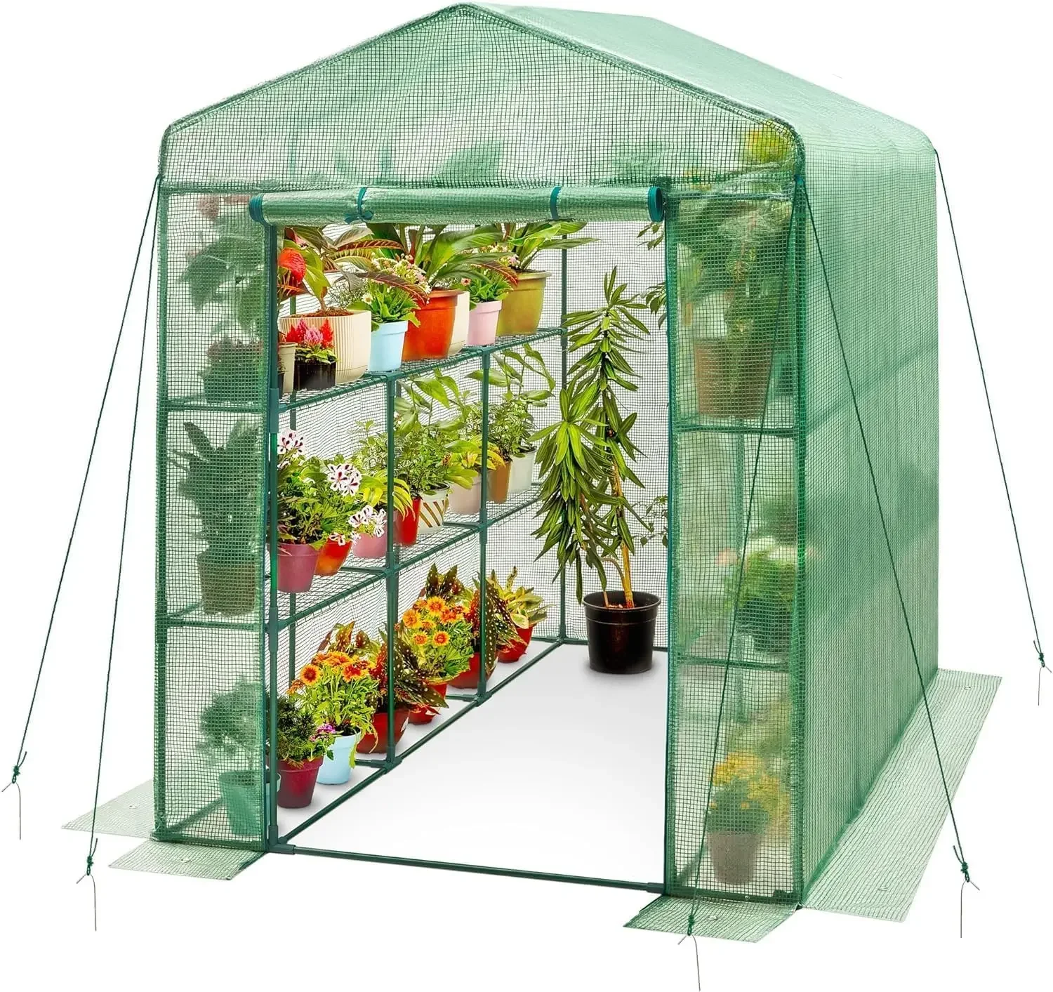 Walk in Greenhouse, Steel-Frame Greenhouse, Anti-Tear Cover, Shelves, Large Greenhouse, Outdoor Kit for Plant