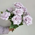 Pale Violet