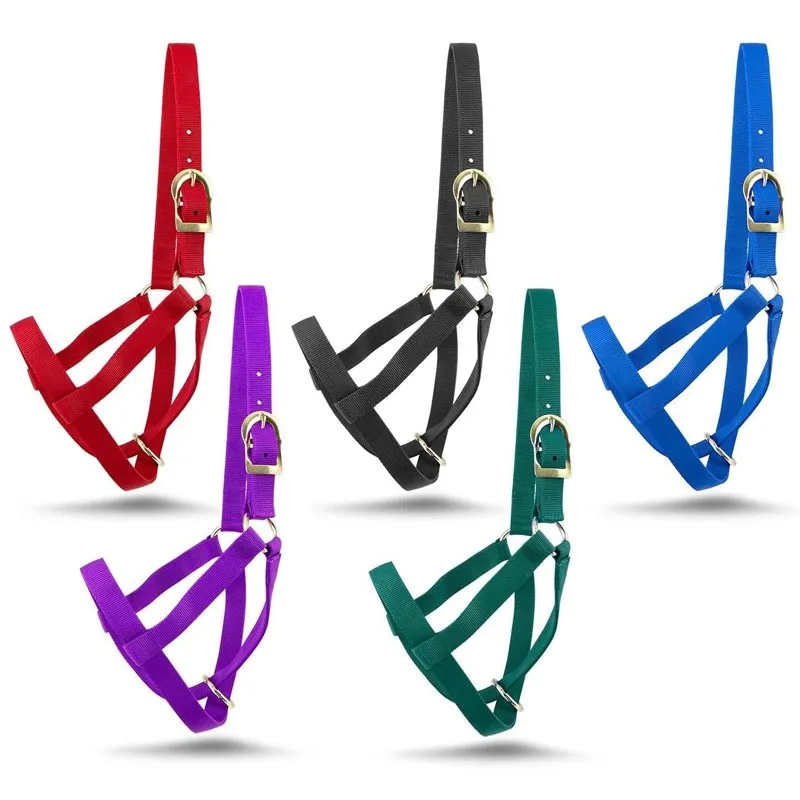 Adjustable Horse & Cow Halter 1