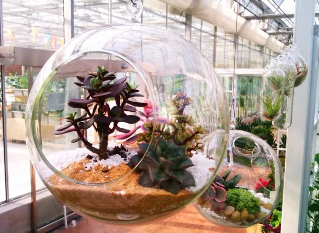 Scd3b4f34760242bfaef071a9d38ed031O