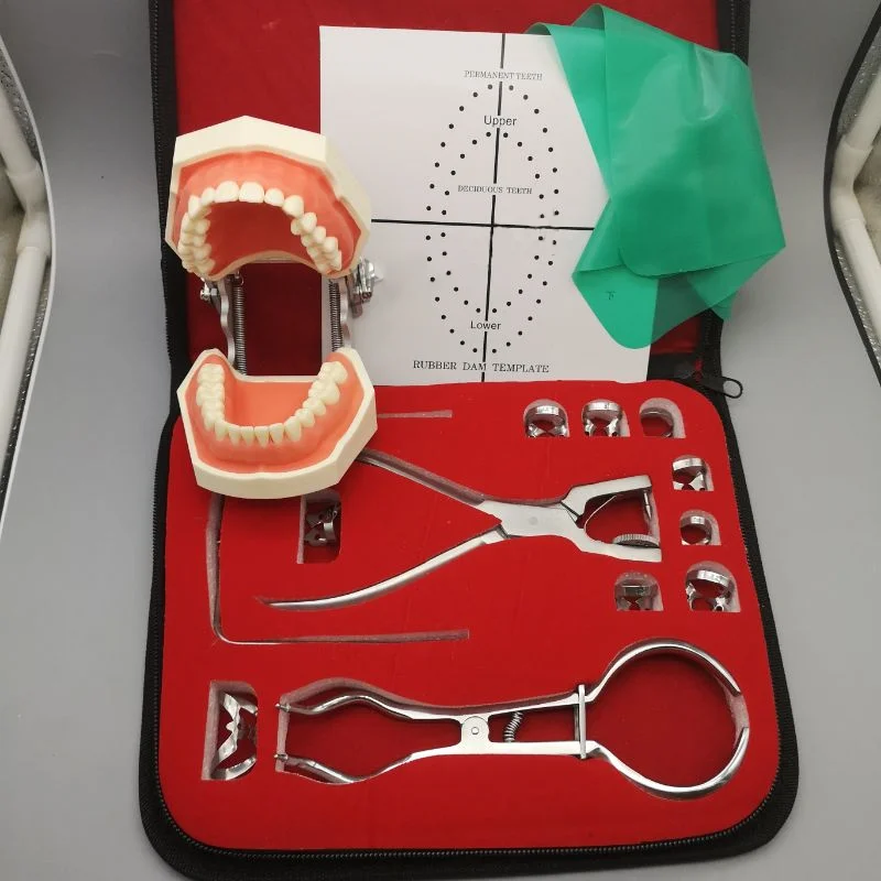 K Perforatore per Diga di Gomma Dentale, Pinze Perforatrici, Strumenti Ortodontici per Professionisti Dentali  66
